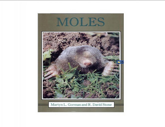 the-mole